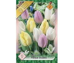 Tulipa single - Prince mixed