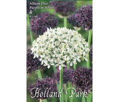 Allium Duo Purple & White