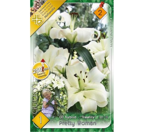 Lilium - obria Pretty Woman