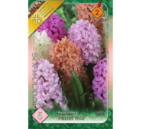 Hyacinthus Pastel mix