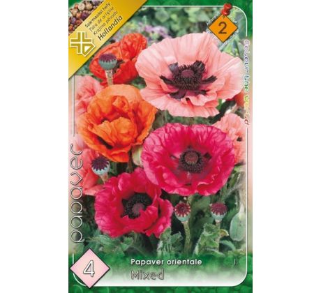 Papaver orientale mixed