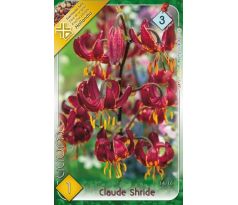 Lilium martagon - Claude Shride