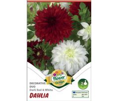 Dahlia - Duo Dark RED & White