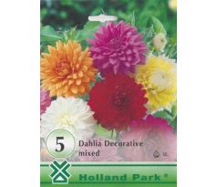 Dahlia - decorative mixed/5ks