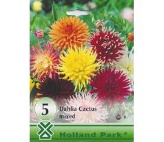 Dahlia - Cactus mixed/5ks