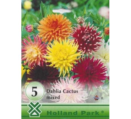 Dahlia - Cactus mixed/5ks