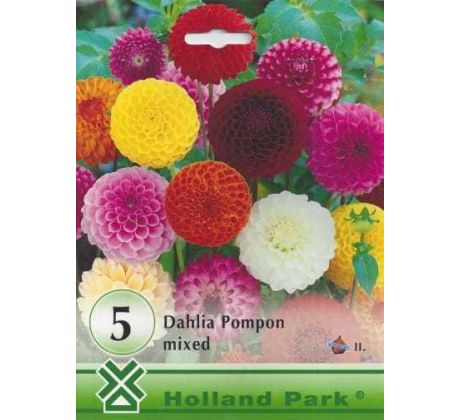 Dahlia - Pompon mixed/5ks