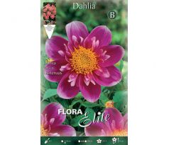 Dahlia - Hartenaas