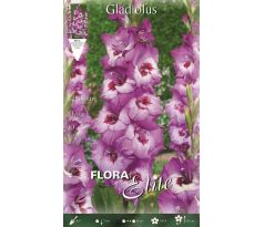 Gladiolus - Elvive