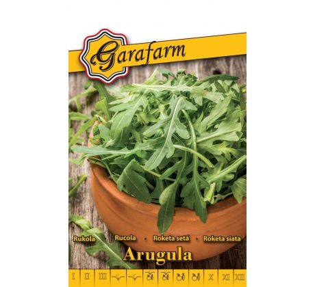 Rukola Arugula