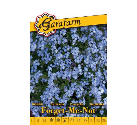 Nezábudka záhradná Forget-Me-Not - modrá