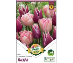 Tulipa Duo Claudia & Foxtrot