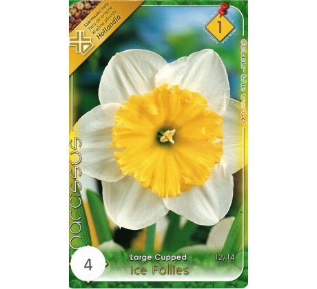 Narcissus Large Cupped - Ice Follies