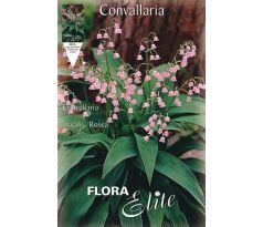 Convallaria majalis Rosea