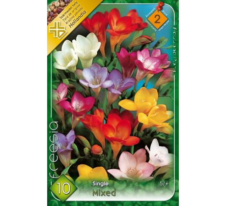 Freesia sigle mixed / 10ks v balení