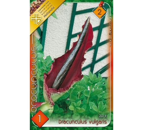 190 - Dracunculus Vulgaris