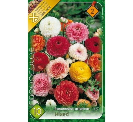 Ranunculus asiaticus - mixed / 10ks v balení