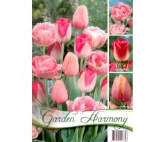 Tulipány PINK