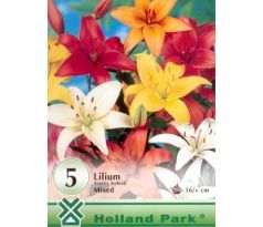 Lilium asiatic - mixed 5 ks