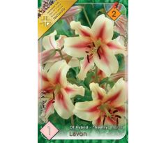 Lilium - Lavon obria ľalia