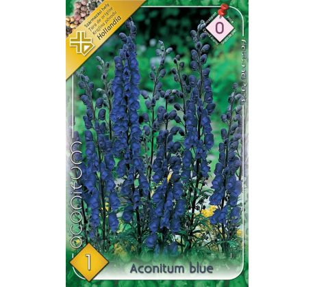 Aconitum blue