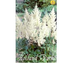 Astilbe - white