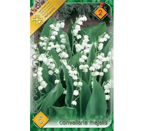 Convallaria majalis