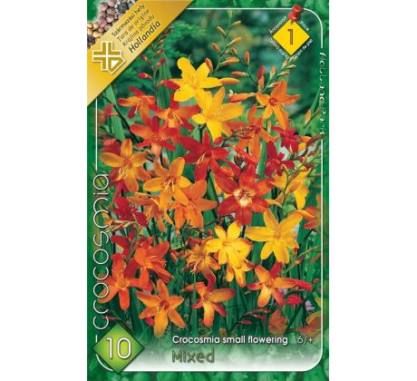 Crocosmia smallfl. mixed