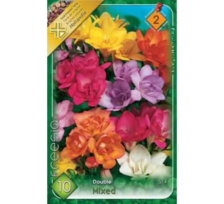 Freesia Double - Freesia double mixed