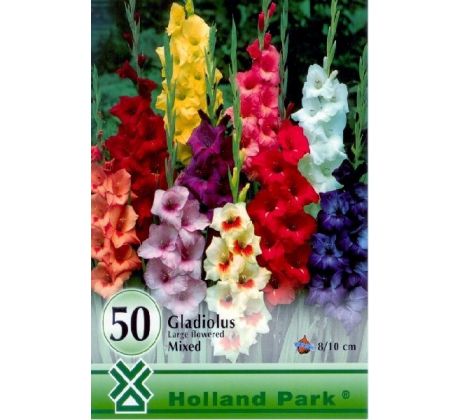 Gladiolus large flowered - mixed/50ks