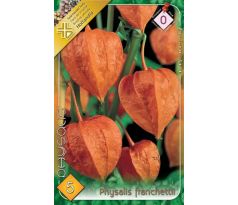 Physalis